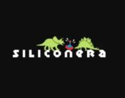 Forma siliconera tomando nuestra nueva encuesta