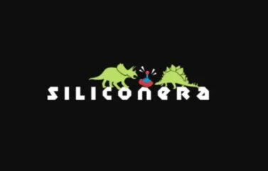 Forma siliconera tomando nuestra nueva encuesta