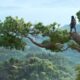 Assassin’s Creed Shadows es el nuevo juego más vendido de Europa de 2025 hasta ahora