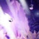 ¿Por qué Tailksong tardó tanto? No es lo que podrías pensar