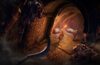 Elden Ring Nightreign obtiene un pequeño parche que aumenta la gobernante de tormenta para esa pelea a Augur de Everdark