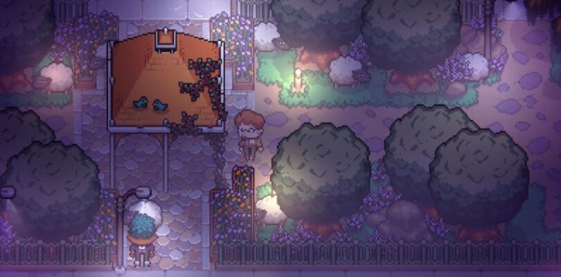 Dónde encontrar las ovejas de Karl en descuento