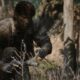 Metal Gear Solid Delta Snake Eater Controles completos para PC y controladores