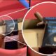 Bengaluru pareja ordene xbox controlador de Amazon, obtenga una serpiente en vivo con el paquete