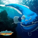 Guía de eventos de Pokémon Go ‘Sunkissed Shores’