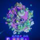 Los desarrolladores de Dorfromantik están de vuelta con Star Birds, un juego encantador de fábrica de asteroides que ahora está en acceso temprano