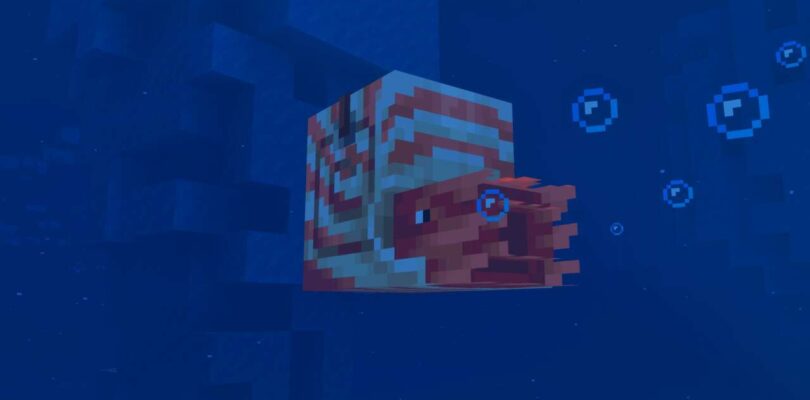 Las monturas de Minecraft de la actualización de caos mezclarán combate