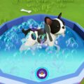 Conviértete en un legendario entrenador de cachorros con linda Academia de Puppy: Legend Edition y Bull Terrier DLC