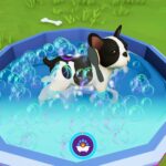 Conviértete en un legendario entrenador de cachorros con linda Academia de Puppy: Legend Edition y Bull Terrier DLC