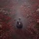 ¿Cuándo se lanza Silent Hill F? Tiempos de lanzamiento globales