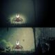 Cómo deshabilitar el efecto de la viñeta en Hollow Knight Silksong