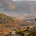 Strange Ghost of Yotei DLC anunció, así es como puedes conseguirlo