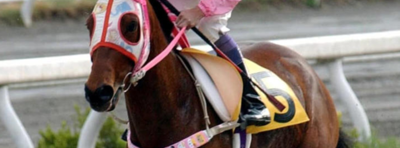 Haru Urara Umamusume Inspiración de personaje murió