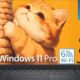 Dell vende computadoras portátiles con un 70% de descuento, pero solo de manera silenciosa a través de Amazon para proteger su marca