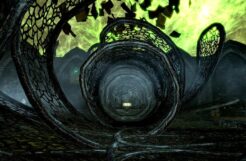 Un personaje conmemorativo de Elder Scrolls 6 moldeado por los mejores conocedores de Internet de Tamriel ahora está escrito en piedra
