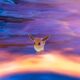Cómo evolucionar a Eevee en Pokémon Legends: ZA