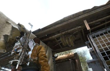 ¡Abejas Arc Raiders! Guía de misiones