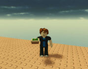 Cómo hacer crecer una ensalada de jardín