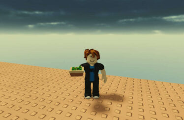 Cómo hacer crecer una ensalada de jardín