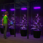 El creador del Programa 1 consideró convertirlo en un simulador agrícola