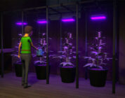 El creador del Programa 1 consideró convertirlo en un simulador agrícola