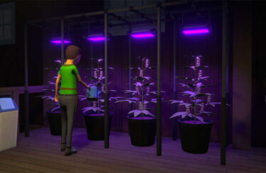 El creador del Programa 1 consideró convertirlo en un simulador agrícola