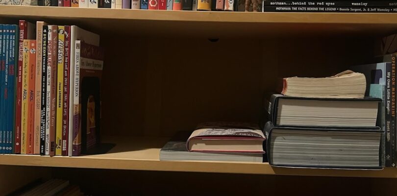 Cada día es como el miércoles: estantería n.° 2