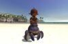 Se detallan los cambios en la campaña de inicio de sesión de Final Fantasy XI