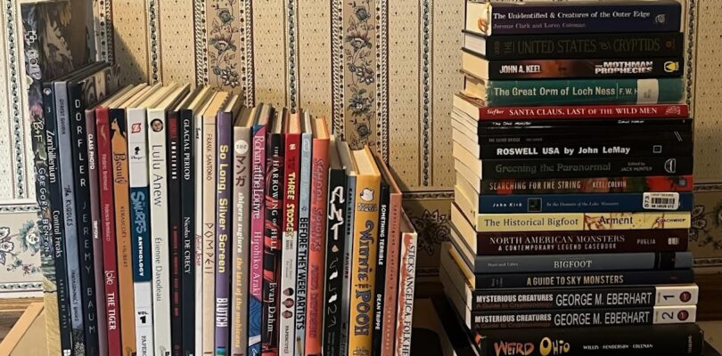 Cada día es como el miércoles: estantería n.° 1