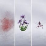 Donde se encuentran los vientos: guía completa de rarezas de Qinghe