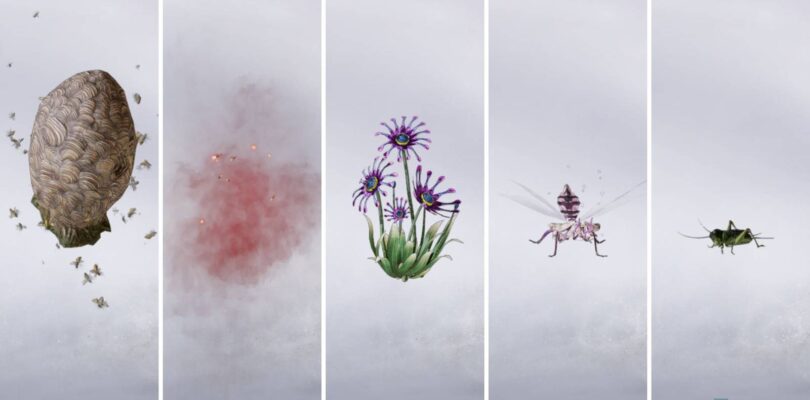 Donde se encuentran los vientos: guía completa de rarezas de Qinghe